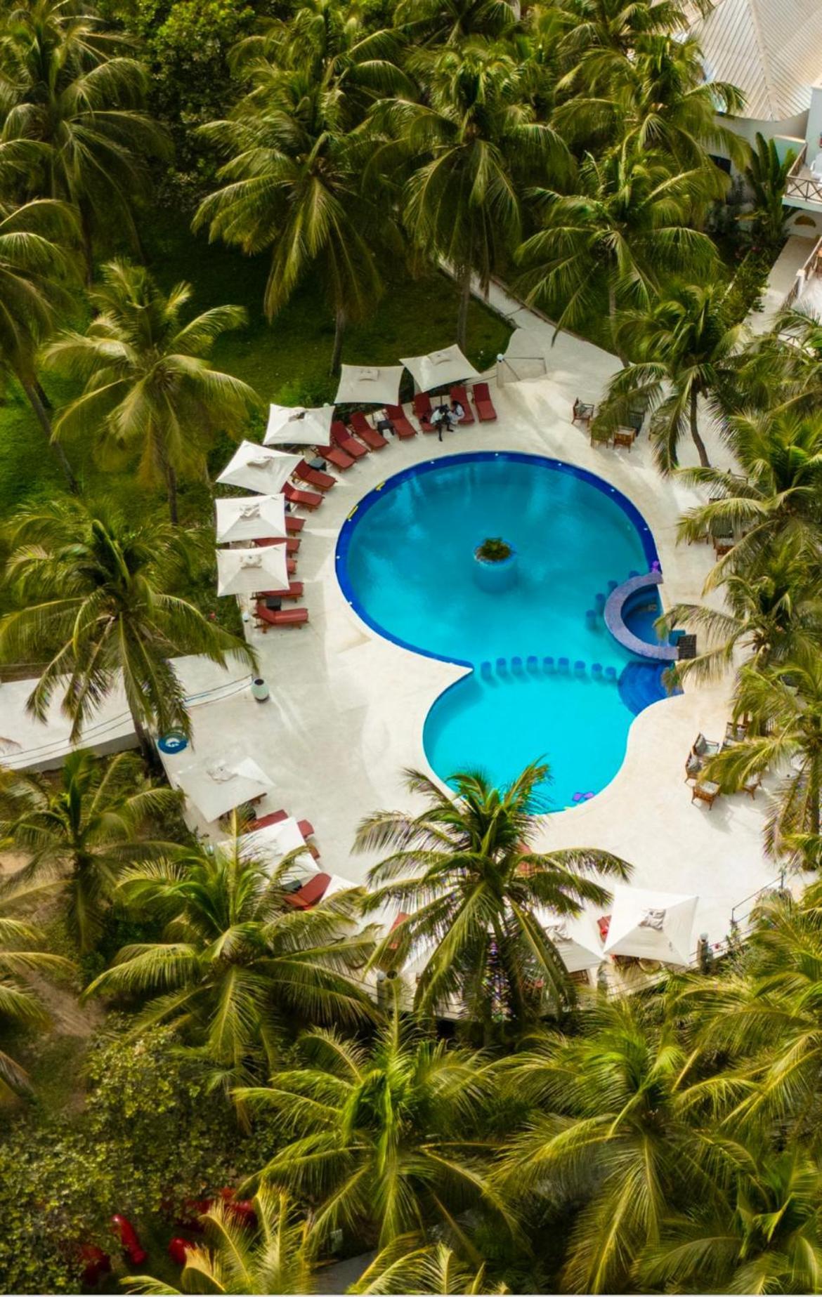 Les Hibiscus Sur Mer Kabrousse المظهر الخارجي الصورة
